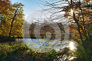 Beautiful shot of a lake with the sunlight penetrating through the tree branches