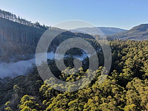 Beautiful shot of a landscape in Healesville, Australia