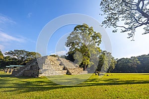 Beautiful shot of the lush nature in Copan Ruinas and its amazing Mayan ruins in Honduras