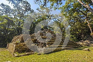 Beautiful shot of the lush nature in Copan Ruinas and its amazing Mayan ruins in Honduras