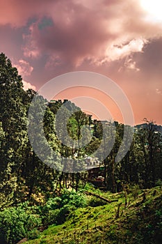 Beautiful shot of McLeod Ganj suburb houses between green forest under cloudy sky