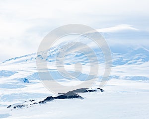 Beautiful shot of the Mount Erebus in Antarctica