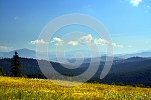 Beautiful shot of a mountain landscape covered with trees in Calimani, Romania photo