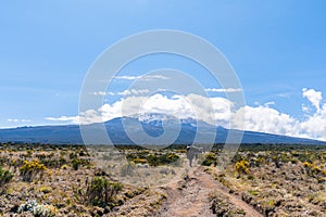 Beautiful shot of a mountain landscape of Tanzania and Kenya from Kilimanjaro mountain