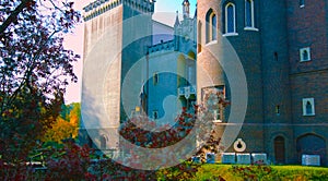 A beautiful shot next to an old wall of a castle in Poland - with a beautiful blue sky - terrace overlooking the park north of the