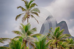 Beautiful shot of palm trees with iconic Dois Irmaos in Rio de Janeiro