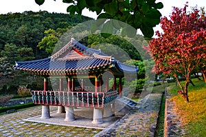 Beautiful shot of a pavilion of traditional Korean architecture in a park in Daejeon, South Korea.