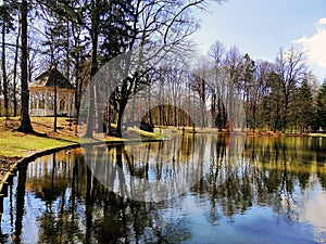 Beautiful shot of the pond with trees and arbor on its shore in Jelenia GÃ³ra, Poland.