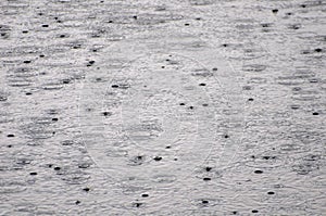 Beautiful shot of raindrops walling in the water