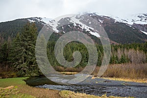 Beautiful shot of a river, fir trees, meadow, and highmountains in Alaska photo