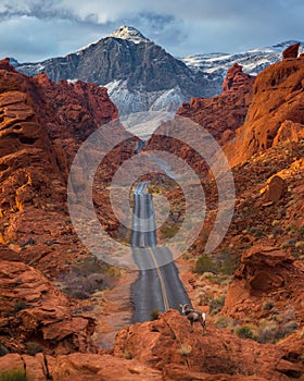 Beautiful shot of a road through the Valley of Fire State Park in Nevada