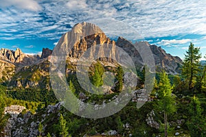 Beautiful shot of rocky mountains with green trees in a daytime under the cloudy sky