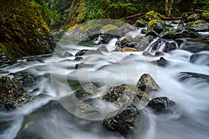 Beautiful shot of the Rosewall Falls in Courtenay, Vancouver Island, Canada