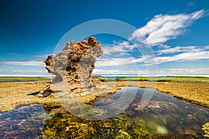 Beautiful shot of a rough massive rock in mossy water under a cloudy sky