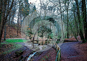 Beautiful shot of a runnel flowing out of a pond in the forest.