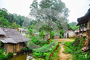 Beautiful shot of a rural road in a poor village surrounded by a jungle