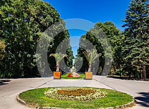 Beautiful shot of a seaside garden in Varna, Bulgaria, with two palm trees outdoors