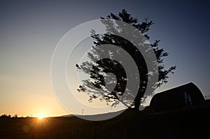 Beautiful shot of a silhouette of tree and an arch shelter with a scenery of sunset