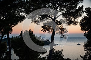 Beautiful shot of a sillouettes of trees on a beautiful sunset covered sea background photo