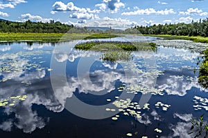 Beautiful shot of the sky reflection in the Kunjamuk River of the Adirondack State Park in New York