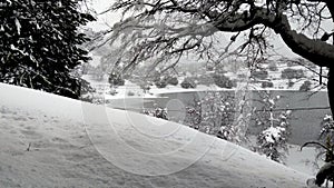 Beautiful shot of a snowy landscape in the Villa Pehuenia Neuquen village in Argentina photo