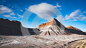 Beautiful shot of the stone formations of the Petrified Forest, Arizona, USA