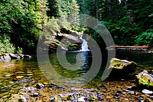 Beautiful shot of a strong waterfall falling in the river in the middle of a forest