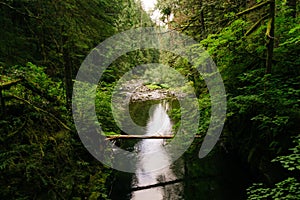 Beautiful shot of a strong waterfall falling in the river in the middle of a forest