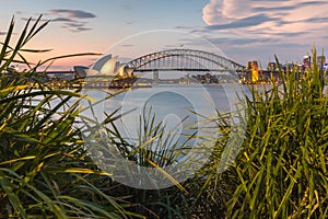 Beautiful shot of the Sydney Opera House and Sydney Harbor Bridge photo