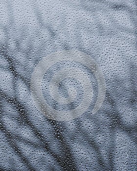 Beautiful shot of the tiny raindrops on the window - autumn, rainy day, background, wallpaper