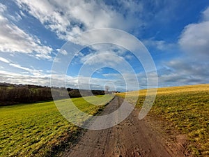 Beautiful shot of a trail through a rural field in Thuringen, Germany