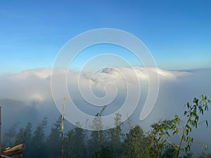 Beautiful shot of trees with a background of clouds on top of mountains