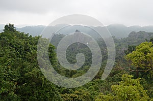 Beautiful shot of trees near forested mountains under a cloudy sky