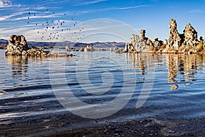 Beautiful shot of Tufa Towers with flock of birds flying above the water at Mono Lake, California