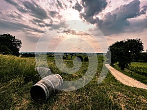 Beautiful shot of two wooden barrels in a field