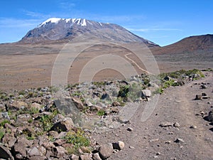 Beautiful shot of an unpaved road near to Mount Kilimanjaro in bright sunlight