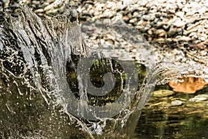 Beautiful shot of water splash in the river in Tostock, Wasser village, Germany