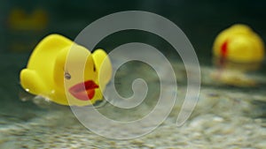 Beautiful shot of yellow plastic duck floating in blue water of swimming pool - video in slow motion