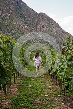 Beautiful shot of a young woman walking in a vineyard