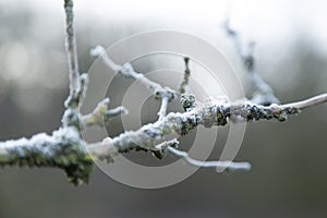 A beautiful silent winter Morning during sunrise