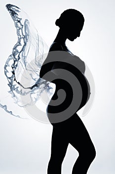 Beautiful silhouette of pregnant woman