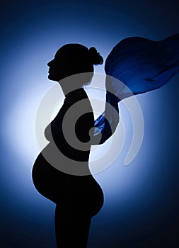 Beautiful silhouette of pregnant woman dreaming