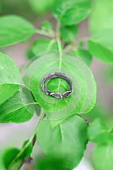 Beautiful silver handmade ring on a leaf of apple tree. Handcraft precious item.