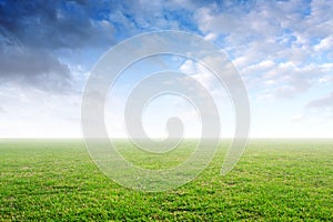 Beautiful simple background with green grass and blue sky