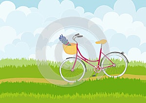 Beautiful simple cartoon meadow with pink city bike on sky background.