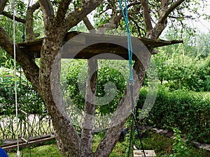 Beautiful simple creative tree house