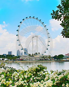 Beautiful Singapore Flyer