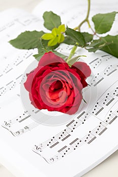 Beautiful single red rose flower lying on open music book