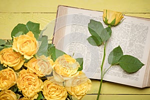 Yellow rose on an open old book