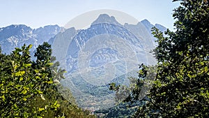 Beautiful photo of a landscape, the trees surround the high and beautiful mountains in the background, Picos de Europa photo